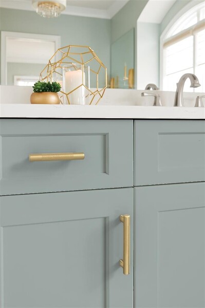Bronx Pull 128mm CC Champagne Bronze