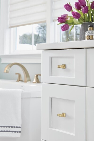 Mulholland Small Square Knob Champagne Bronze