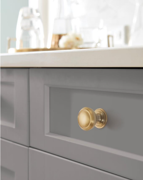 Revitalize Round Knob Golden Champagne
